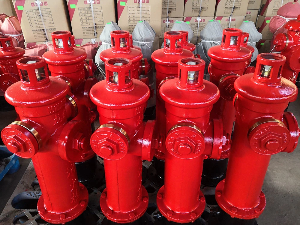 Ductile Cast Iron DN100 Bullet Head Ground Type Outdoor Fire Hydrant Valve Ss100-65-1.6-B with Bent Pipe Connection