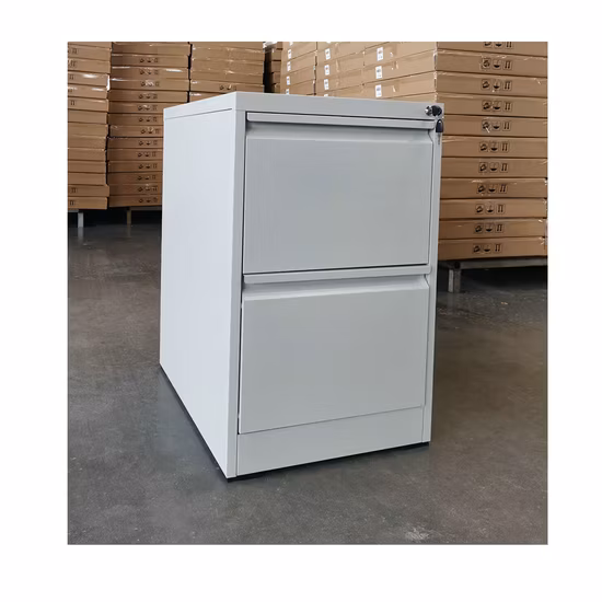 China Steel Modern Furniture Filing Cabinets Storage Cabinet for School Office Hospital with 4-Drawer